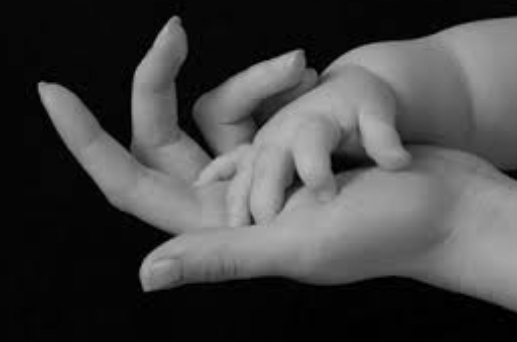 In materia di adottabilit&agrave;